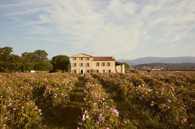 Chanel's Flower Fields in Grasse, France