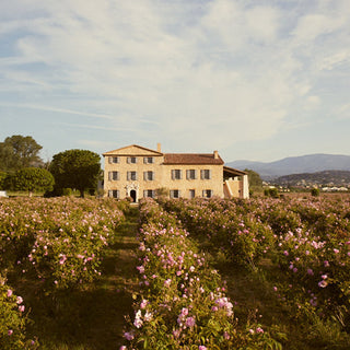 Chanel's Flower Fields in Grasse, France