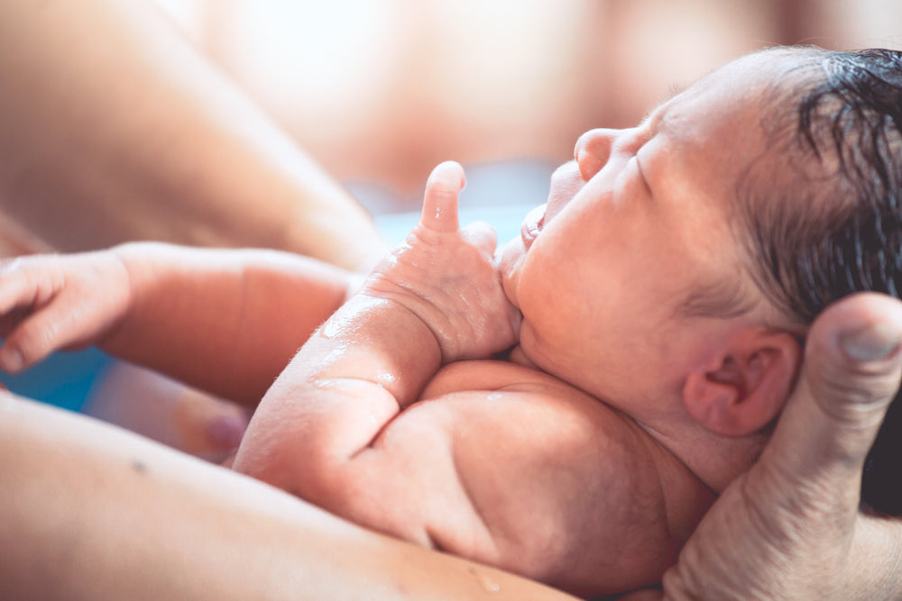 Make Sense of Scents: Babies & Their Sense of Smell