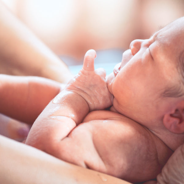 Illustrative image for Make Sense of Scents: Babies & Their Sense of Smell