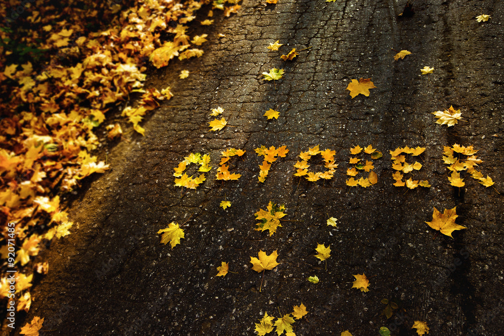 Why October 1st Feels Like the Real New Year (and How to Scent It)