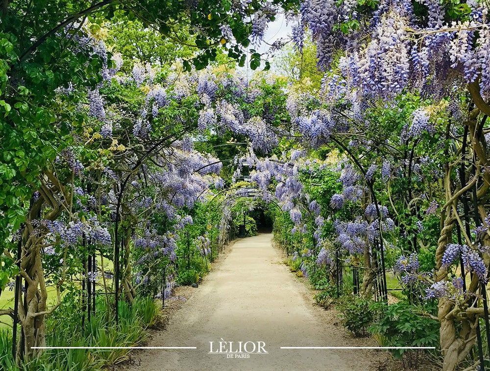 Lèlior's Flower Collection: From a Garden to a Bottle