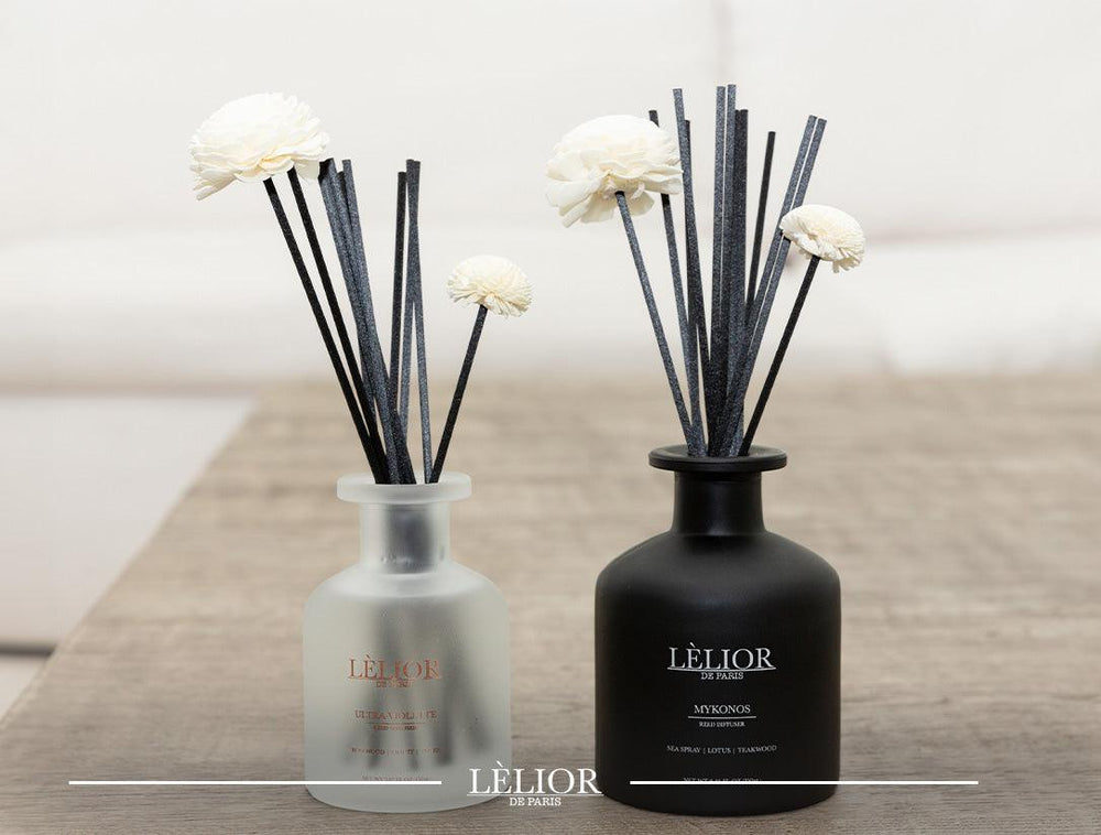 How to Choose the Perfect Lèlior Reed Diffuser