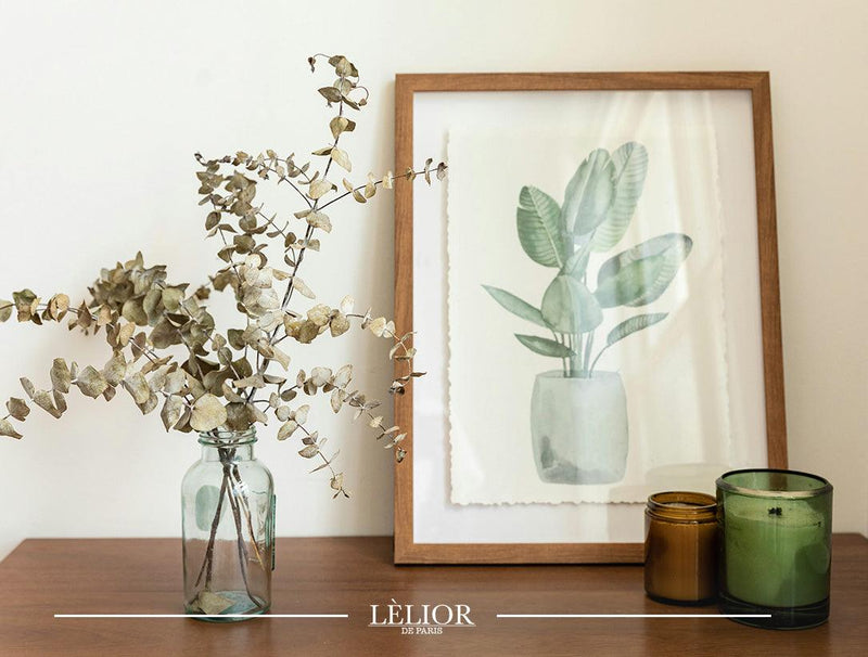 The Healing Powers of Eucalyptus Oil