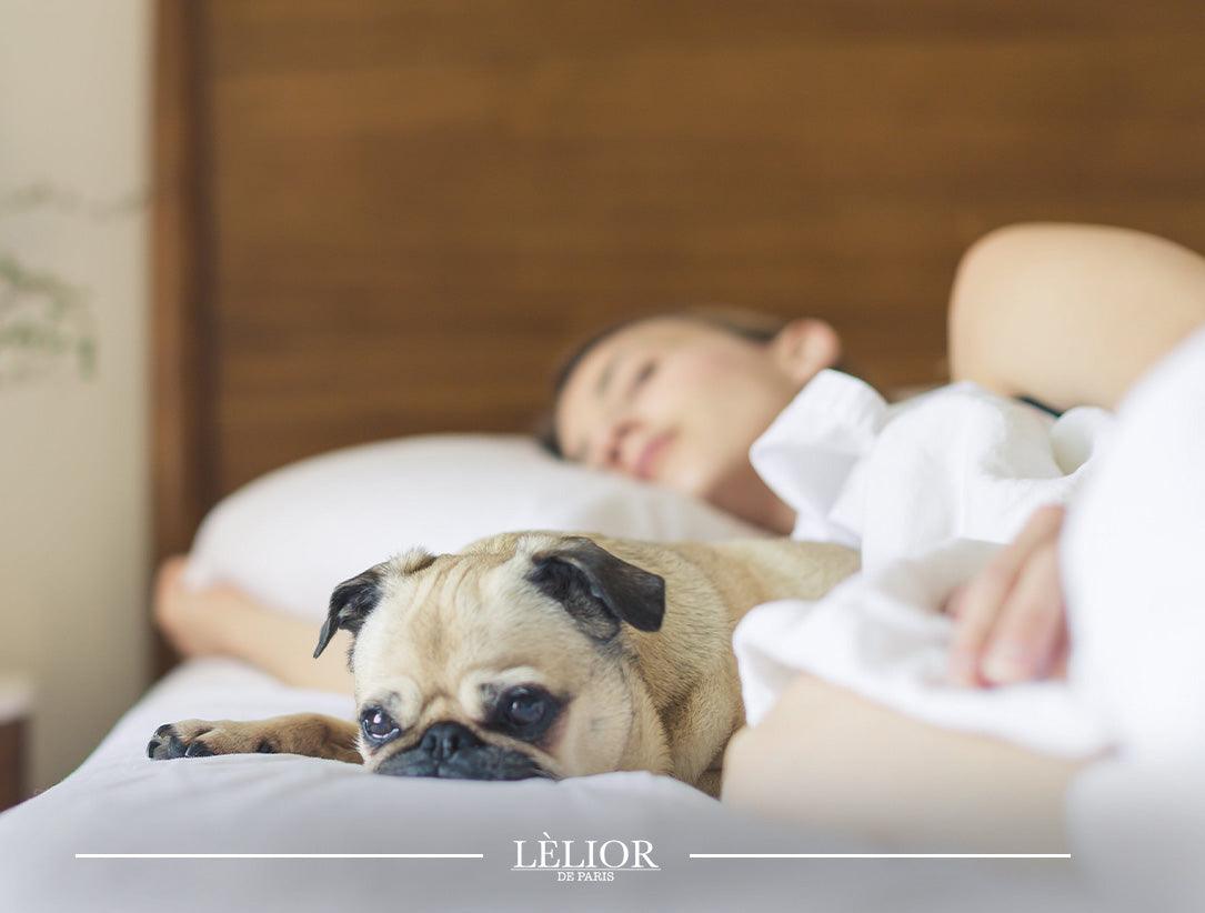 Scent Your Way to a Good Night’s Sleep