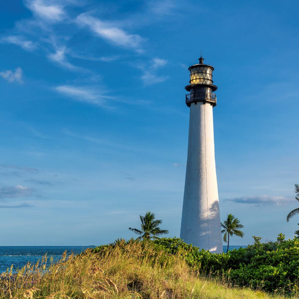 Illustrative image for Discover the Magic of Key Biscayne: Your Island Escape at the Ritz-Carlton