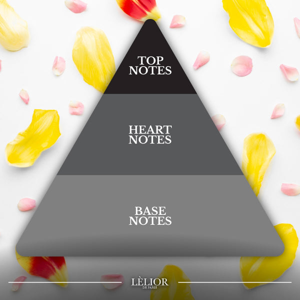 Illustrative image for Fragrance Notes: All You Need To Know