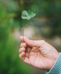 Prep Your Home With the Best St. Patrick's Day Fragrances