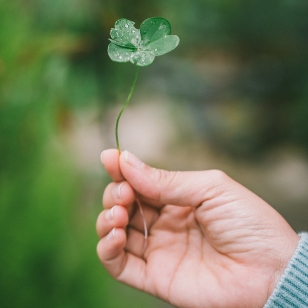 Illustrative image for Prep Your Home With the Best St. Patrick's Day Fragrances