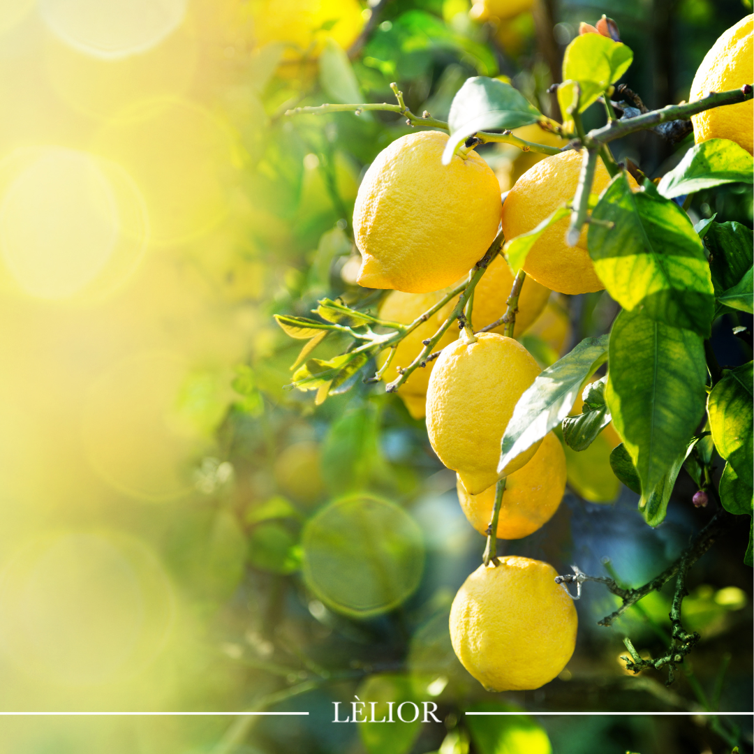 The Aroma of Lemon: What Does It Smell Like?