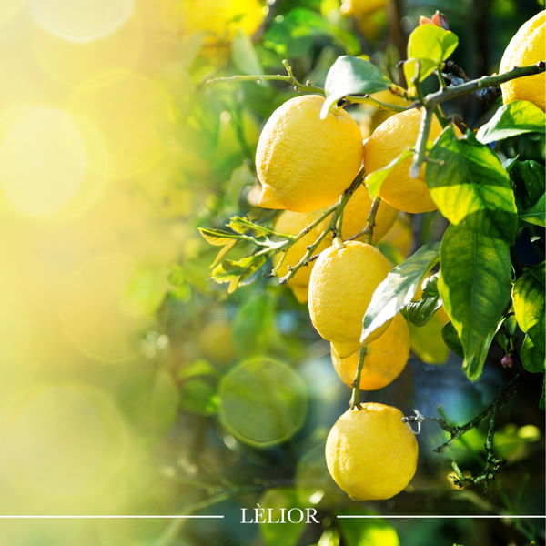 Illustrative image for The Aroma of Lemon: What Does It Smell Like?