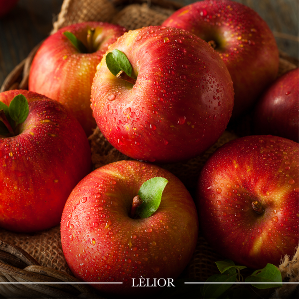 Illustrative image for The Enchanting World of Apples