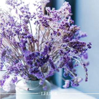 A Scent Study Series: The Lavender Lookout