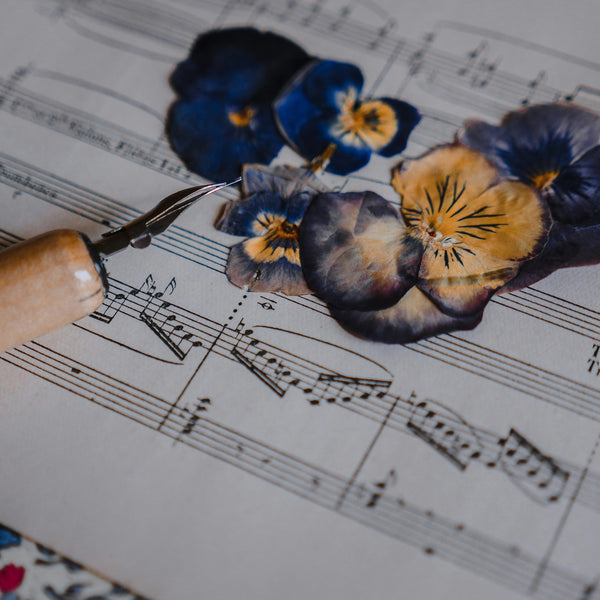 Illustrative image for Combining Fragrance with Sound: The Future of Multi-Sensory Hospitality