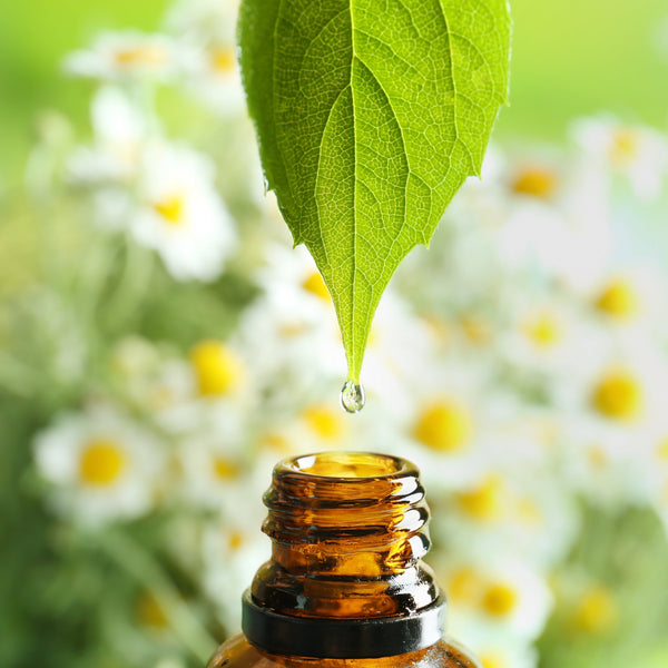 Illustrative image for Skin Revival: 5 Essential Oils That Heal Winter Damage This Spring