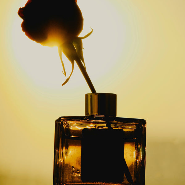 Illustrative image for Building a Fragrance Wardrobe: A Comprehensive Guide