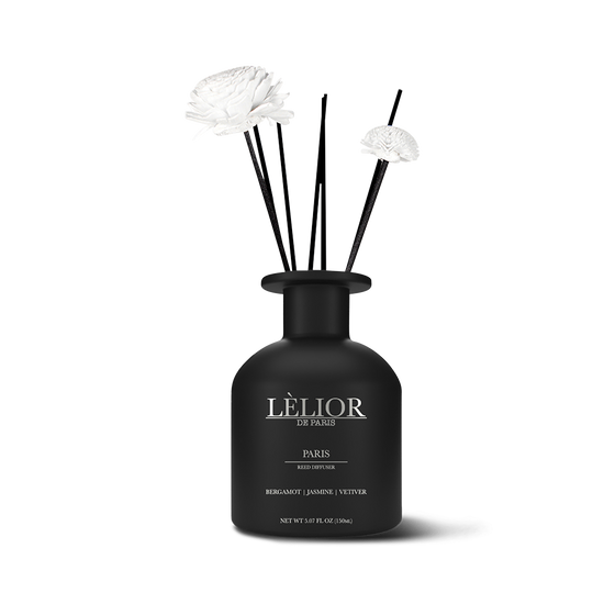 Destination Voyage™ Reed Diffusers - Paris