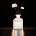 Designer Capsule™ Reed Diffusers - Aventadora