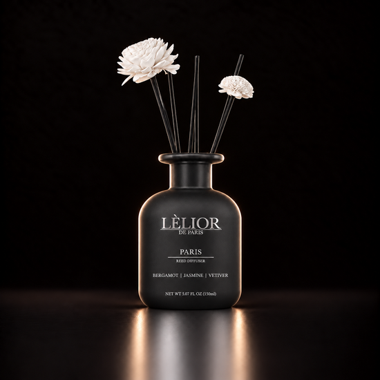 Destination Voyage™ Reed Diffusers - Paris