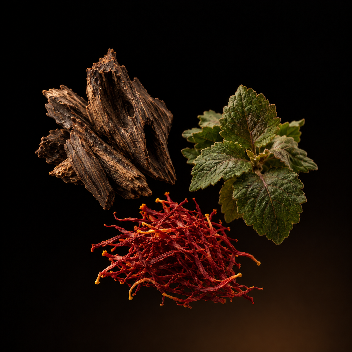 Santal Essence™ - Santal 16